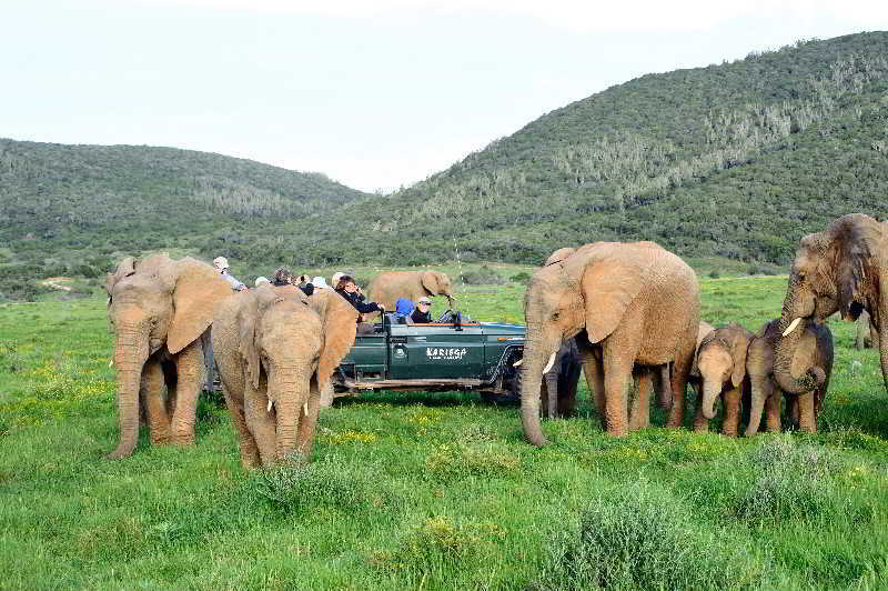 Kariega Game Reserve Bushman's River Mouth Exterior foto