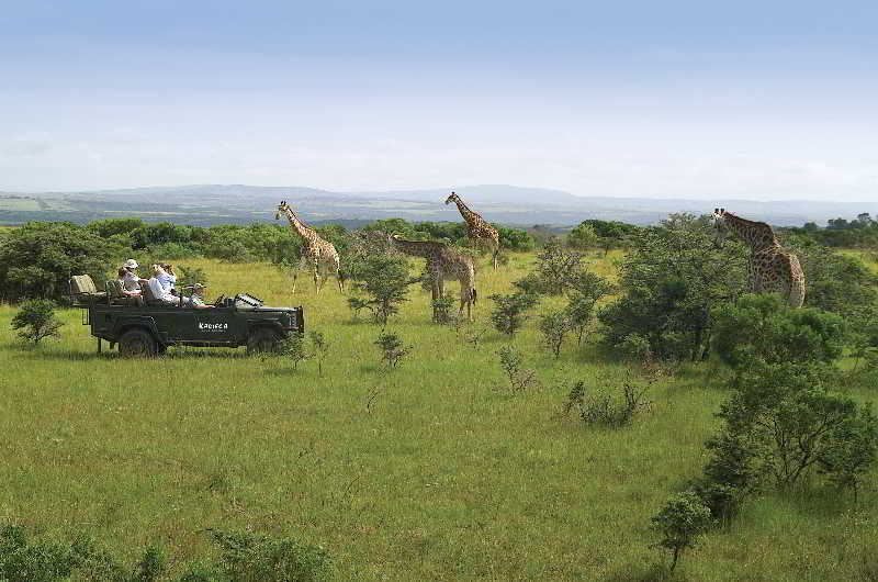 Kariega Game Reserve Bushman's River Mouth Exterior foto