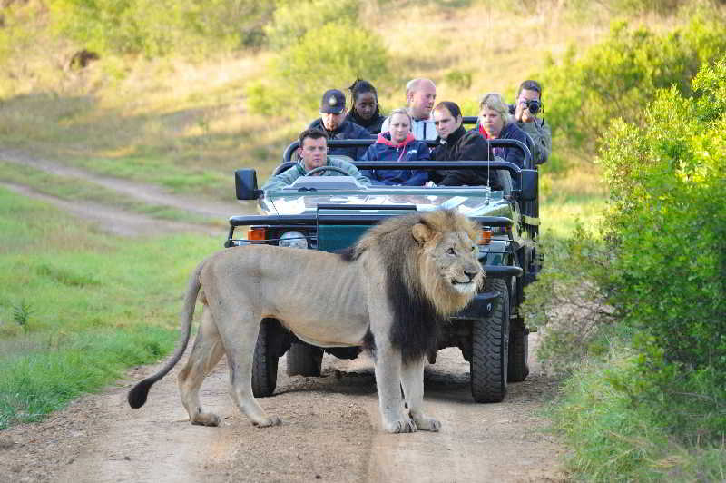 Kariega Game Reserve Bushman's River Mouth Exterior foto